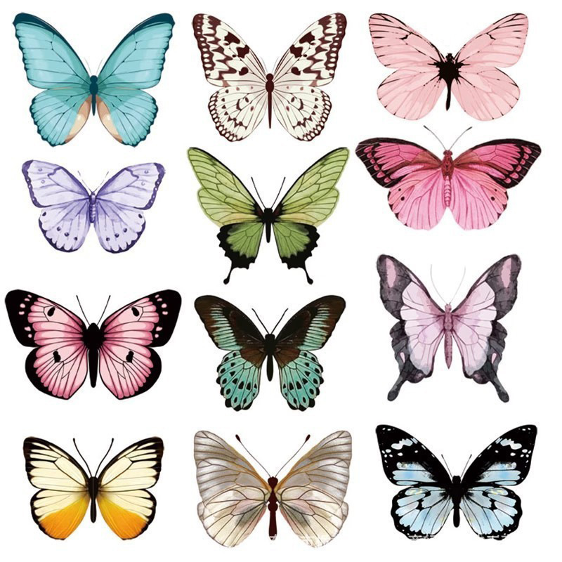 12 pièces 3D papillon Stickers - Art Craft Earth Day avis et prix